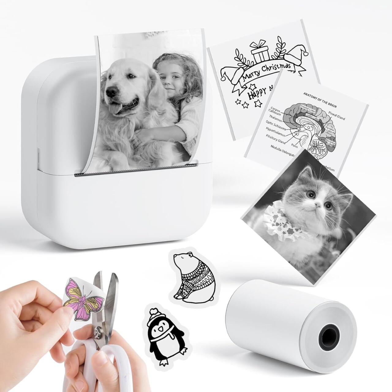 PrintGoMini Impresora Térmica Portátil